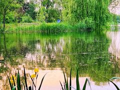 -大兴滨河森林公园