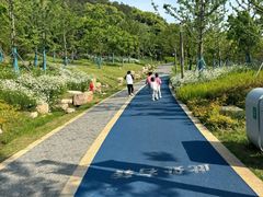 -狮子山(地铁站)