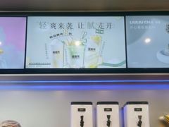 -TD66高山铁皮石斛养生茶饮