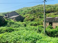-东极岛景区-青浜岛