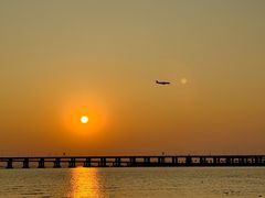 -宝安西湾红树林湿地公园