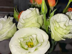 -爱尚鲜花店(粤通综合楼店)