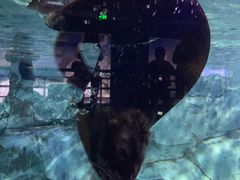 -临沂极地海洋王国