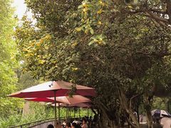 -梅园食堂