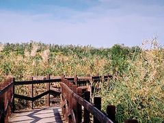 -西青郊野公园