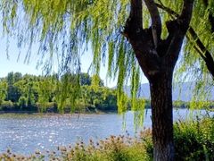 -亲兄弟真人CS团建拓展基地