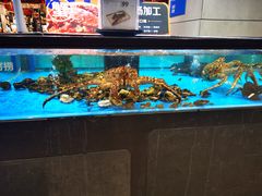 水产区-盒马鲜生(文景博乐里购物广场店)