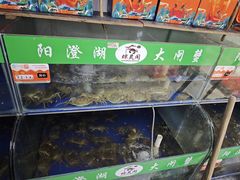 -阳澄湖大闸蟹·琼灵阁牌品牌连锁(吴中总店)