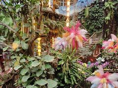 -正佳雨林生态植物园