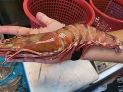 -ZF Seafood Restaurant 卓峰海鲜餐