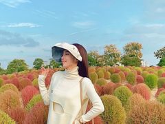 -径山花海
