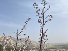 -北京凤凰岭