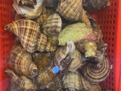 -巽寮印象美食部落餐厅·海鲜·地方特色菜(惠州体验店)