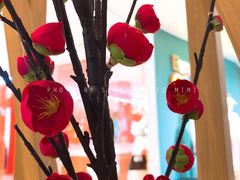 景观位-霸王茶姬(金贸中路店)