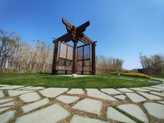 -上海山野camping·户外天幕烧烤·团建拓展营地