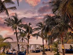 -精酿农场Brew Farm·沙漠绿洲餐厅