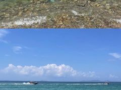 -杨梅坑
