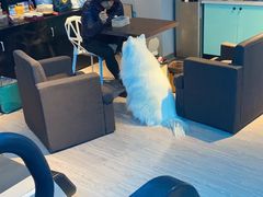 -RoMan罗马健身工作室(莘庄店)