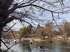 -井之头恩赐公园