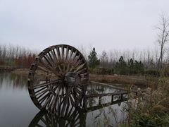 -合肥滨湖国家森林公园