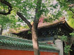 -北京国子监胡同