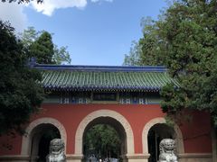 -灵谷景区