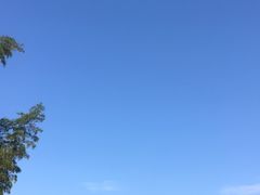 -宁波浙东大竹海景区