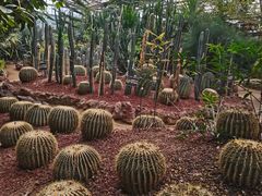 -呀路古热带植物园