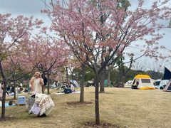 -新江湾城公园