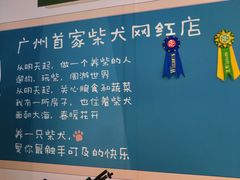 -柴犬高等学院·狗咖·柴犬售卖·宠物训练