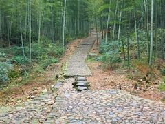 -龙坞茶村