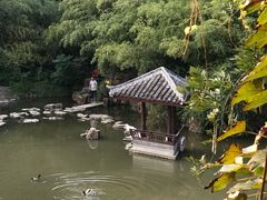 -水绘园