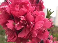 -白塘生态植物园