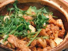 沙姜嗜鸡-煲煲好(朝阳门店)