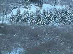 -太子岭滑雪场