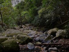 -梧桐山风景名胜区