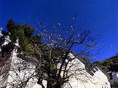 -篁岭景区