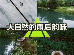 -宝界山林公园