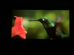 -南宁时代电影大世界(CGS激光中国巨幕)