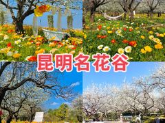 -名花谷生态庄园