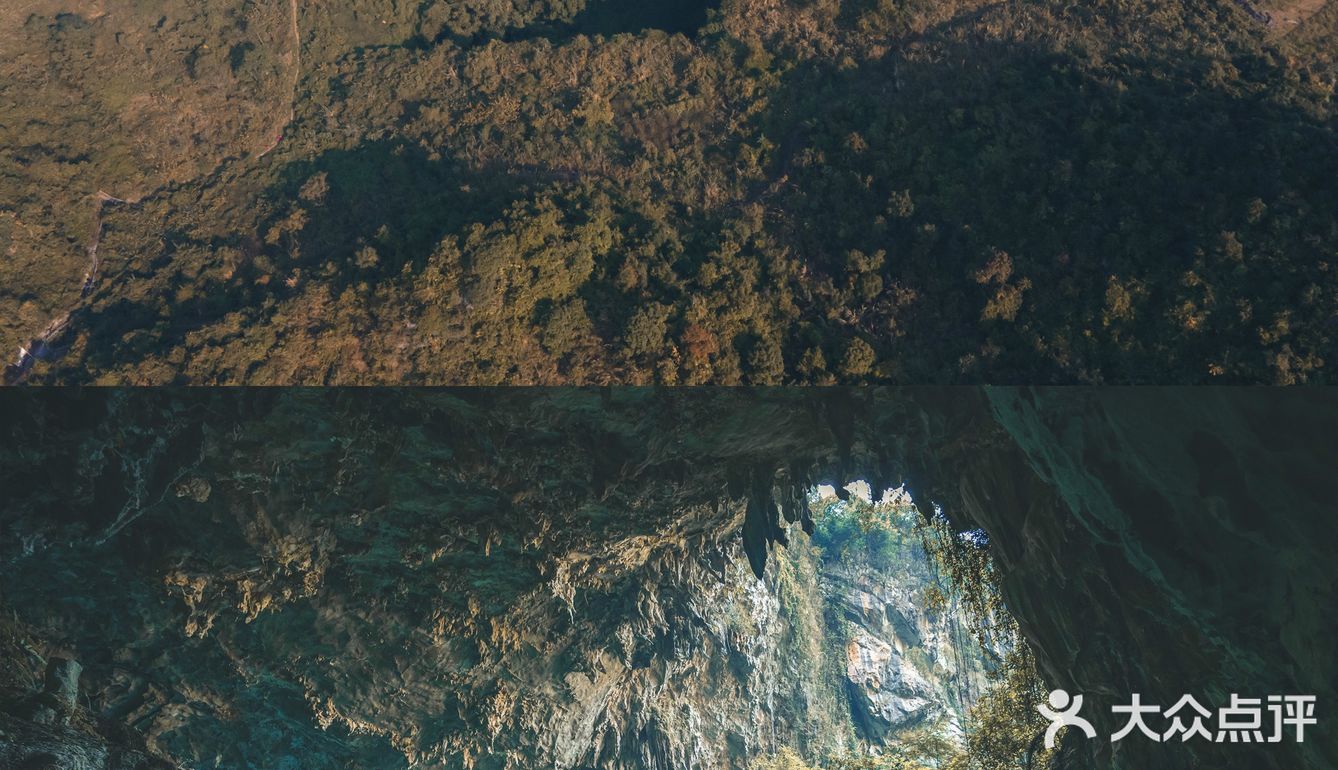 号称“水上芦笛岩”的巴马百鸟岩