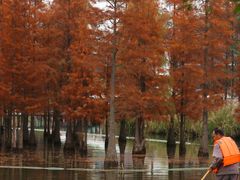 -白鹭湾湿地公园