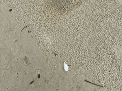 -惠州金海湾嘉华度假酒店