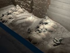 -秦始皇帝陵博物院(兵马俑)