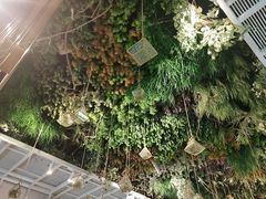 -潮粥荟·潮汕砂锅粥(朝阳大悦城店)