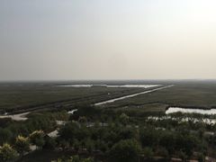-南大港湿地风景区