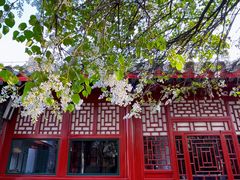 -北京鲁迅博物馆(北京新文化运动纪念馆鲁博馆区)