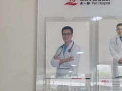 -艾贝尔宠物医院·24H转诊中心·肿瘤猫专科(江宁双龙店)