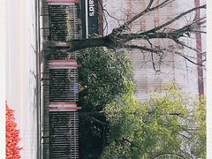 -麦当劳(田林好又多店)