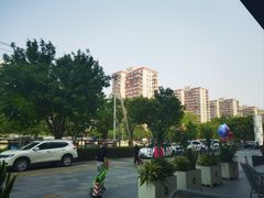 -Wagas沃歌斯(枫蓝国际店)